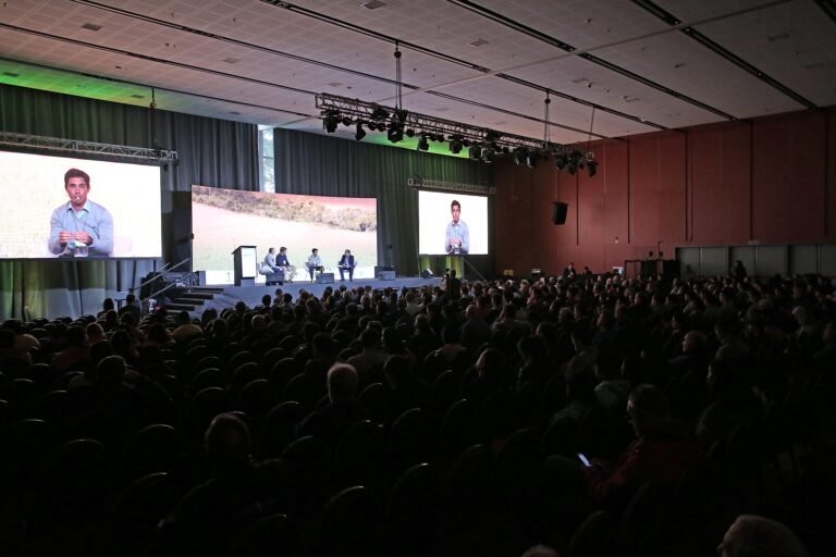 Copia de IMG_3868