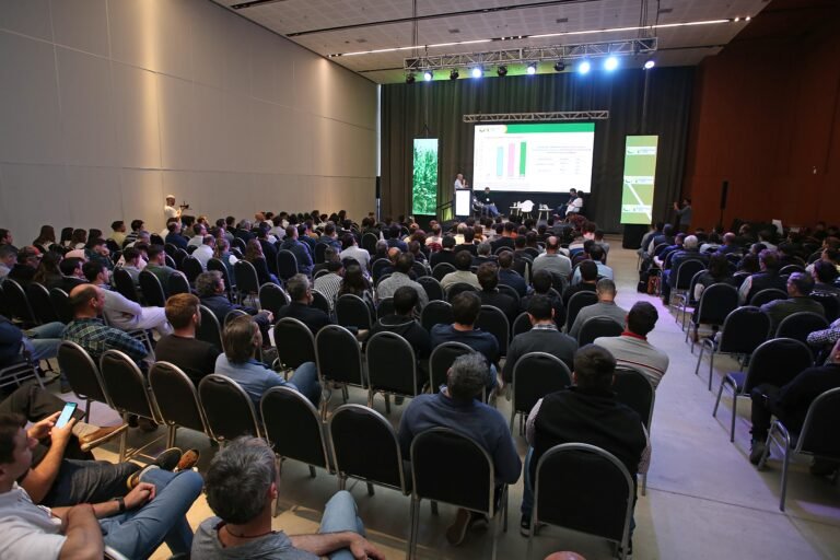 Copia de IMG_4783