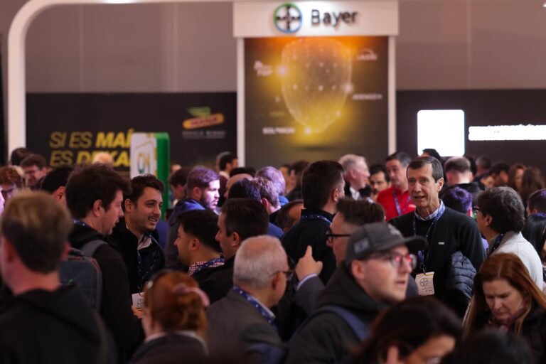 Hall - Bayer