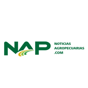 LOGO MARCAS-50
