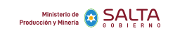 logo salta