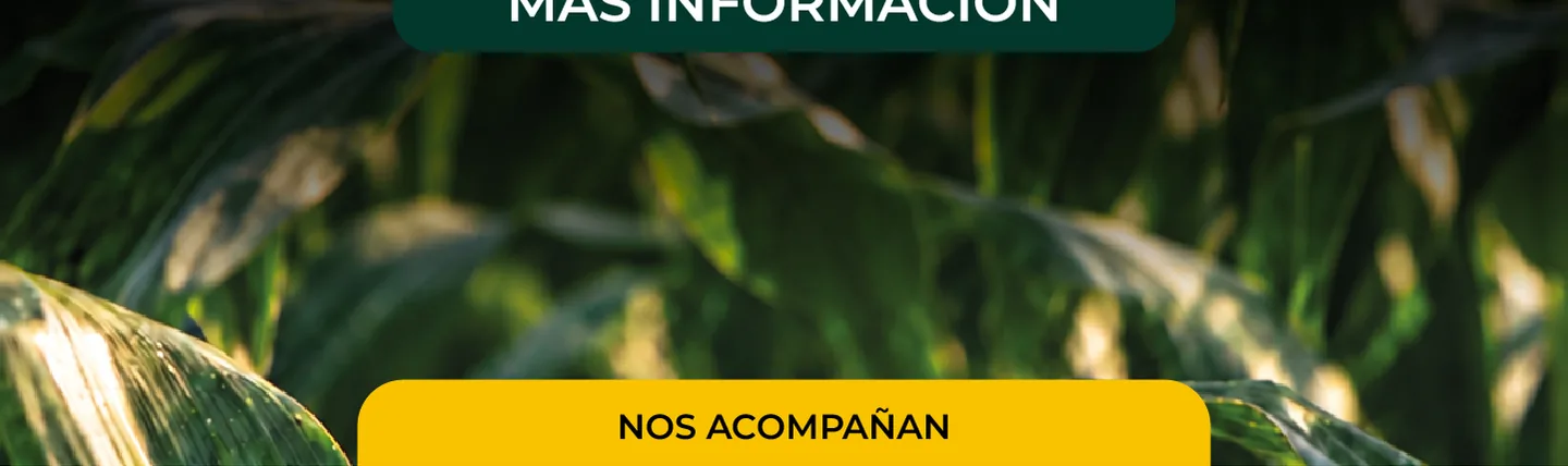 Programa 2026 del Congreso Internacional de Maíz, parte 15 de 18